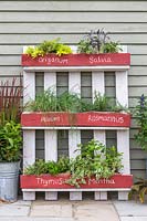Upcycled herb pallet planter, with the botanical names of herbs written on