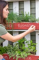 Woman writing German common name for herb in challk on front of pallet planter