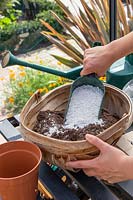 Woman mixing perlite into compost to make a looser, more free-draining compost.