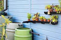Saving water with gutters as a shelves for vegetables and herbs. RHS Grow Your Own with The Raymond Blanc Gardening School, RHS Hampton Court Palace Flower Show, 2018. 