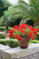 Pots of scarlet pelargoniums in terracotta pots decorate the wall around the sunken courtyard garden with box parterre, central water feature and mature date palms.
