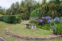 Bench with agapanthus, Cordyline australis, phormiums and succulents.
