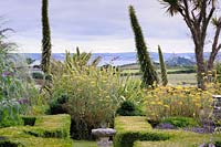 The distinctive outline of St Michael's Mount viewed from the sundial garden across clipped box hedges is framed by tall flower stems of echiums and fennel.