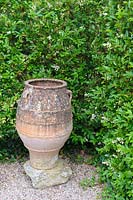 Terracotta urn at the junction of a privet hedge.