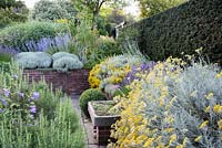 Mediterranean terrace with Helichrysum, thymes, perovskia, lavender, santolina and rosemary, Kent