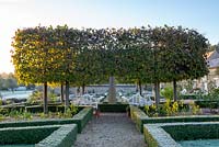 Pleached Limes in the formal garden at sunrise with clipped box hedging and white Lutyen style benches. 