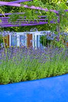 Painted walls with Lavender and purple pergola, Hampton Court Flower Show, 2003