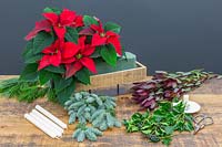 Tools and materials to make christmas floral centrepiece with Poinsettias.