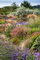 View over mixed plantings of ornamental grasses and flowers to Eleagnus 'Quicksilver' shrubs
