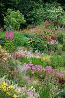 Bed of mixed flowering perennials in front of shrubs, plants include Astilbe, Hemerocallis, Rodgersia