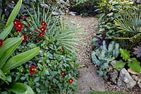 Gravel path with  Dahlia 'Topmix Red' and Euphorbia Myrsinites.