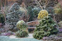 Wooden bench surrounded by frosted trees and evergreen shrubs in oriental style garden. The Four Seasons Garden, UK. 