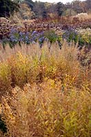 Border of grasses and perennial seedheads, Trentham Gardens, Staffordshire, UK