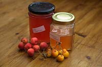 Jars of crab apple jelly and the fruits used to make them -  Malus x zumi 'Professor Sprenger' and Malus x robusta 'Red Sentinel' 