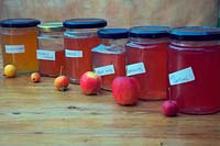 Jars of crab apple jelly and the fruits used to make them. 
