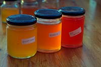 Glass jars of crab apple jelly - Malus 'Evereste',  Malus x zumi 'Golden Hornet', Malus x robusta 'Red Sentinel' 
