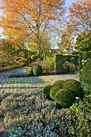 View across autumn borders and topiary Buxus balls in Laura Dingemans' garden, The Netherlands. 