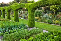 Topiary arches of x Cuprocyparis leylandii separating a vegetable garden from lawn and ornamental border. 
