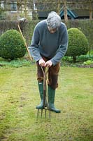 Man aerating lawn with garden fork. 