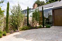 Contemporary house with circular stone sett driveway with young multi-stemmed
Himalayan birch
Betula utilis jacquemontii tree and pencil Cupressus in circular border