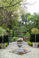 View through formal gravel garden to informal woodland borders. Summerdale Garden, Cumbria, UK. 