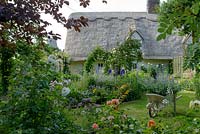 Thatched Cottage and country garden, with mixed plantings of roses, geraniums and catmint. 