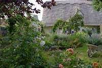 Thatched Cottage and country garden, with mixed plantings of roses, geraniums and catmint.
