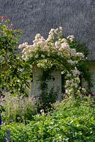 Cottage garden with rose arch covered in Rosa 'Phyllis Bide' - Rose 'Phyllis Bide'
