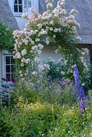 Cottage garden with rose arch covered in Rosa 'Phyllis Bide' - Rose 'Phyllis Bide' underplanted with hardy geraniums and Delphinium.
