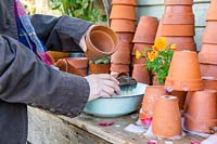 Woman washing dirty terracotta pots with wooden scrubbing brush in bowl of soapy water.