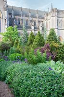 Echium underplanted with alliums and Nepeta and clipped yew 