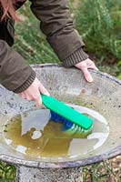 Close up of woman cleaning bird bath with scrubbing brush and soapy water. 
