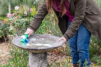 Woman washing bird bath with scrubbing brush and soapy water.