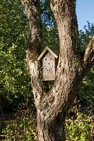 View of insect box in fruit tree.  Auberge de Launay, Limeray, Amboise, Loire Valley, France. 