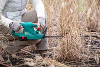 woman cutting back grasses using a hedge trimmer. 