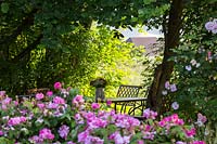 A gap in the natural hedge is a perfect place for a shaded rest area with
 a bouquet on the metal table,the scene is framed with Rosa 'Fitz Nobis,
 Rosa rubiginosa and Rosa gallica versicolor