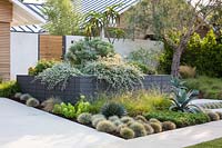 Bed planted with succulents and cacti in front garden. Garden designed by Falling Waters Landscape, inc Ryan Prange, New Port Beach, California, USA.
