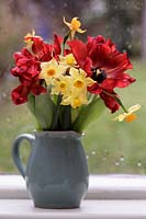 Jug of Narcissus 'Grand Soleil d'Or' and Tulipa 'Ruby Prince' on windowsill. 