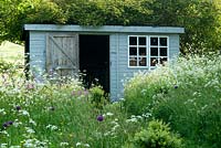 Garden shed and wild flower beds