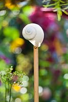 Snail shell topping bamboo support to protect eyes