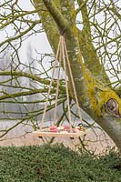 Parus major - Great tit - feeding on wooden hanging bird feeder.