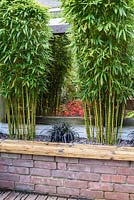 Clumps of bamboo with cleaned lower stems in a raised bed interplanted with black leaved Ophiopogon planiscapus 'Nigrescens' are reflected in a large mirror on the wall behind 