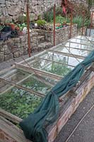Wooden coldframes showing chains for opening lids and shade netting cover
