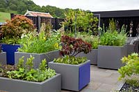 The Moveable Feast Garden - series of raised beds filled with a mix of herbs, flowers and vegetables