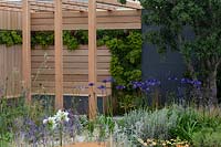A covered wooden arbour seating area in patio garden amongst drought resistant perennial planting - Coastal Retreat garden at RHS Tatton Flower Show 2016