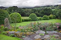 Rock garden with shrub and ground cover roses, with view over hills. 