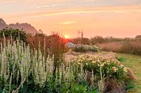 Sunrise over the Ghost border and wildflower meadow, with planting of Verbascum chaixii 'Album', Calamagrostis x acutiflora 'Karl Foerster', Hemerocallis and Stipa tenuissima. 