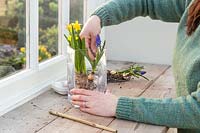 Woman creating a simple Easter display in a glass vase with Narcissus 'Tete a Tete' and Muscari.