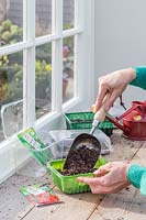 Woman adding compost using a scoop to recycled plastic trays prior to sowing seeds.