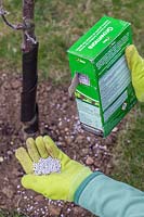 Woman pouring fertiliser into hand from box